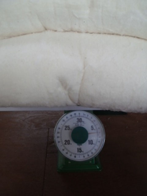 �ł������O