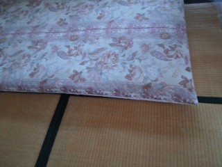 ���݂��ӂ���������ψ��